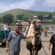Сахиб, 55