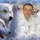 wolf, 42