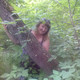 NATALI, 41 (1 фото, 0 видео)