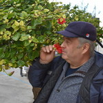 sergey, 62
