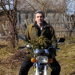 александр, 50 (1 фото, 0 видео)