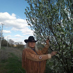 Татэ Вачи Чевола, 65