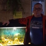 Андрей, 52 (3 фото, 0 видео)
