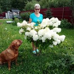 Людмила, 64 (6 фото, 0 видео)