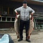 Али, 42