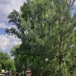 Елена, 53